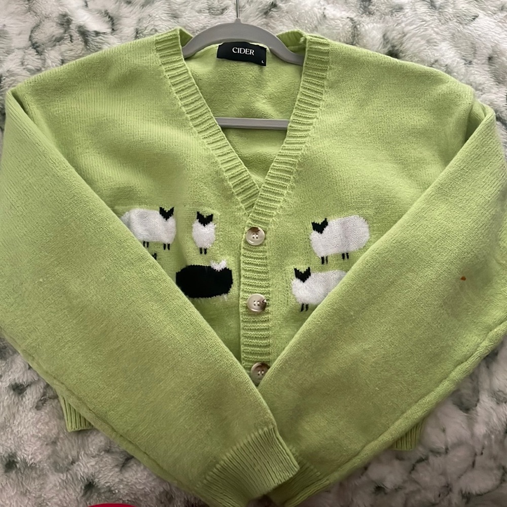 Brand new sweater, worn once. Smoke and pet free home, size large